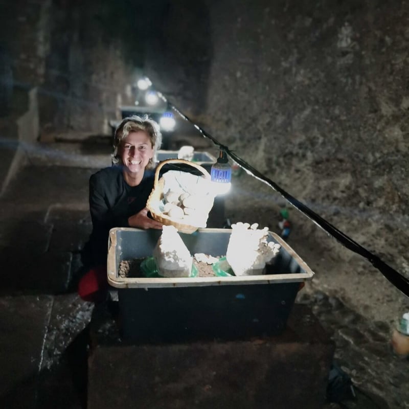 Ausstellungmacherin Michaela Maria Fuchs